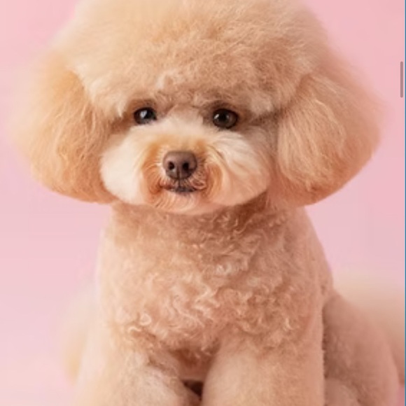 Meet your Posher, koolherk - Picture 1 of 1